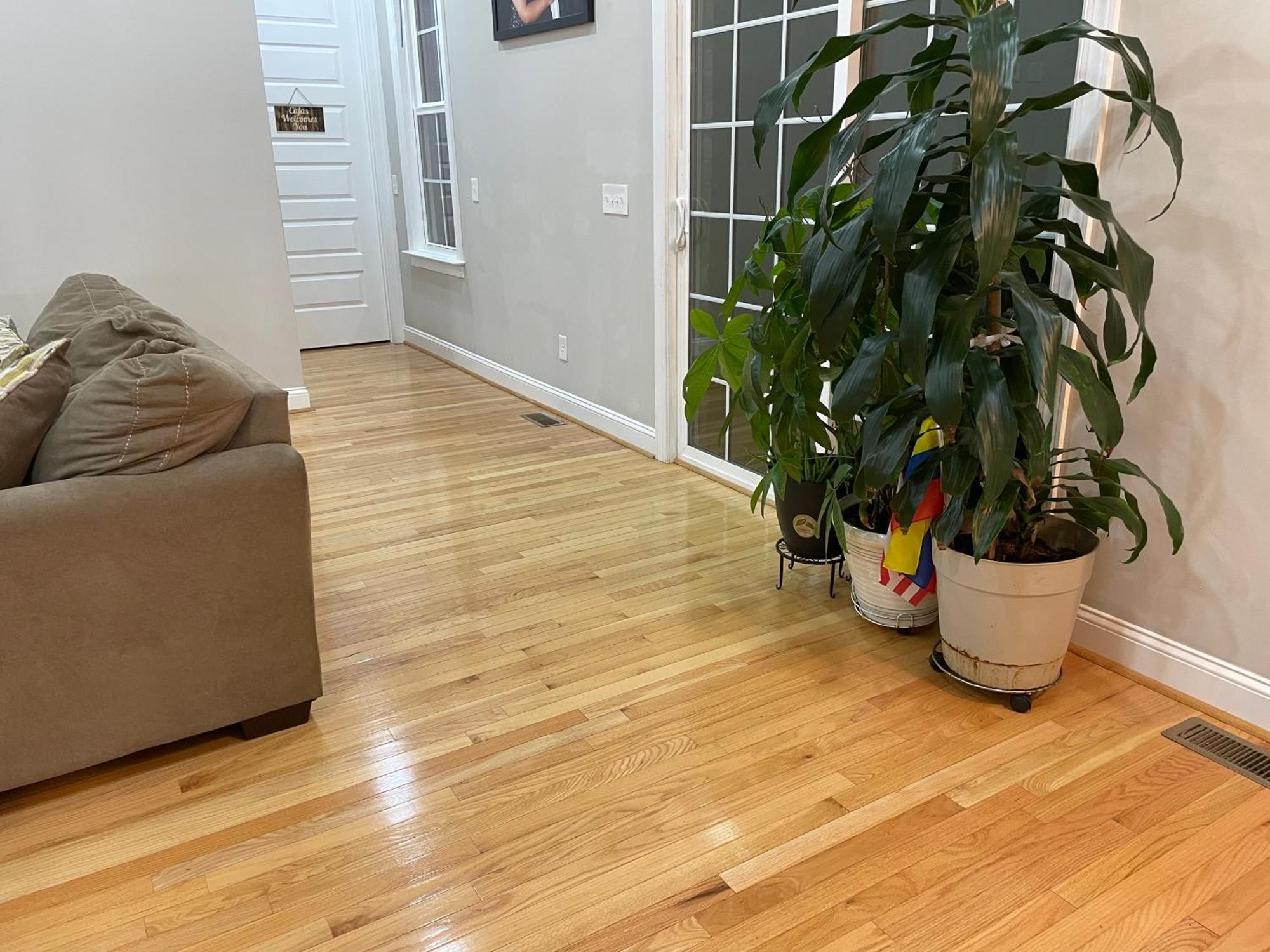 La Casa Grande Hosting Daire Whitsett Dış mekan fotoğraf